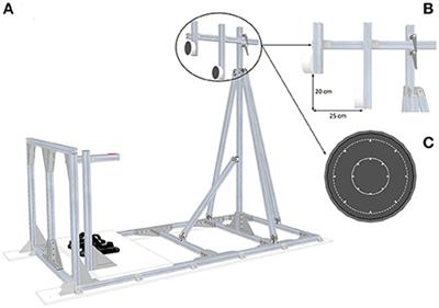Sensorimotor Reorganizations of Arm Kinematics and Postural Strategy for Functional Whole-Body Reaching Movements in Microgravity